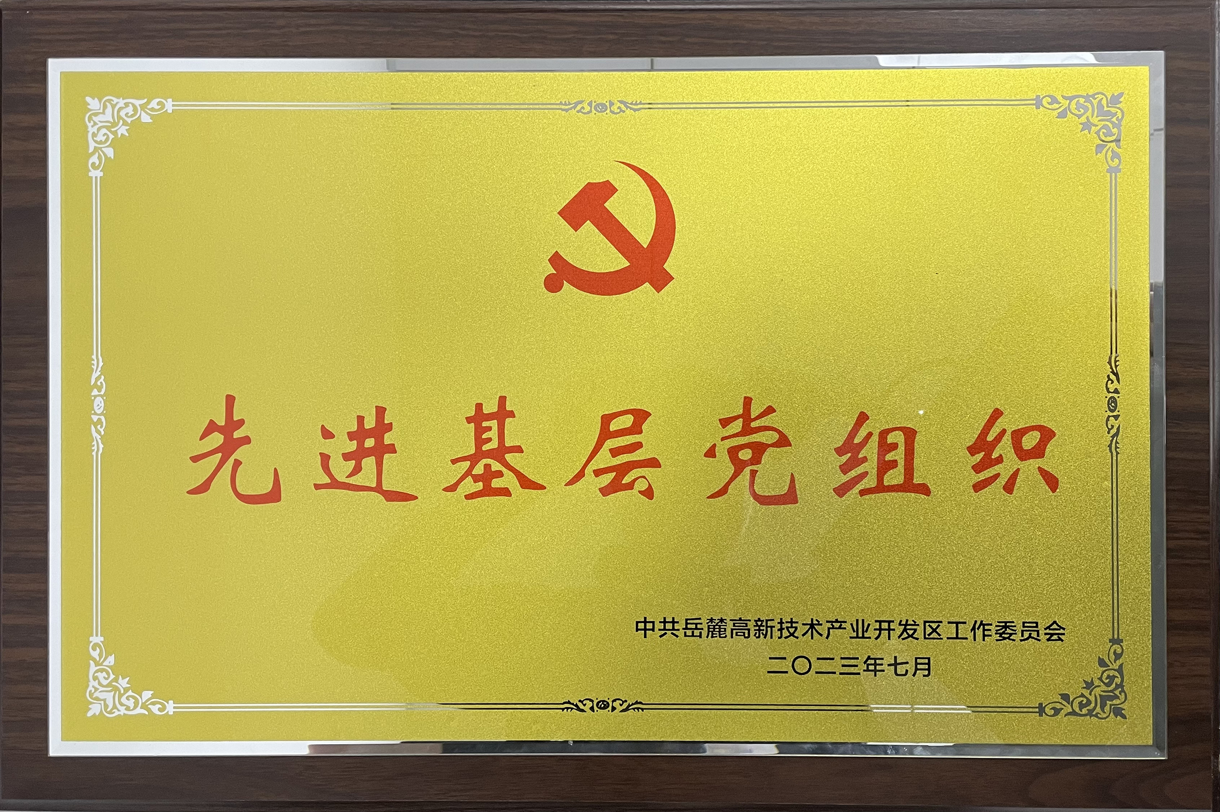 20237ǹȼŵί´ίȽ²㵳֯ƺ